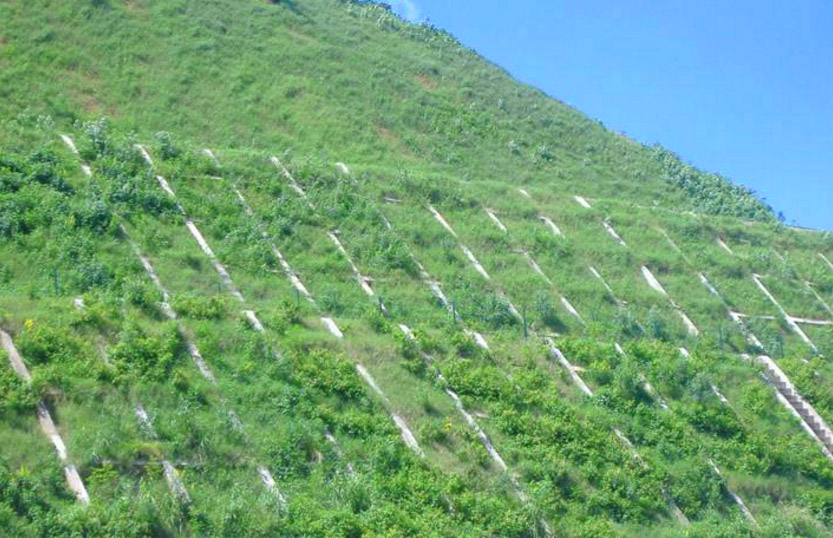 生態(tài)護坡技術
